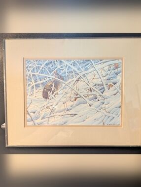 Robert Bateman Heritage Frame Print In The Briar Patch Cottontail Rabbit